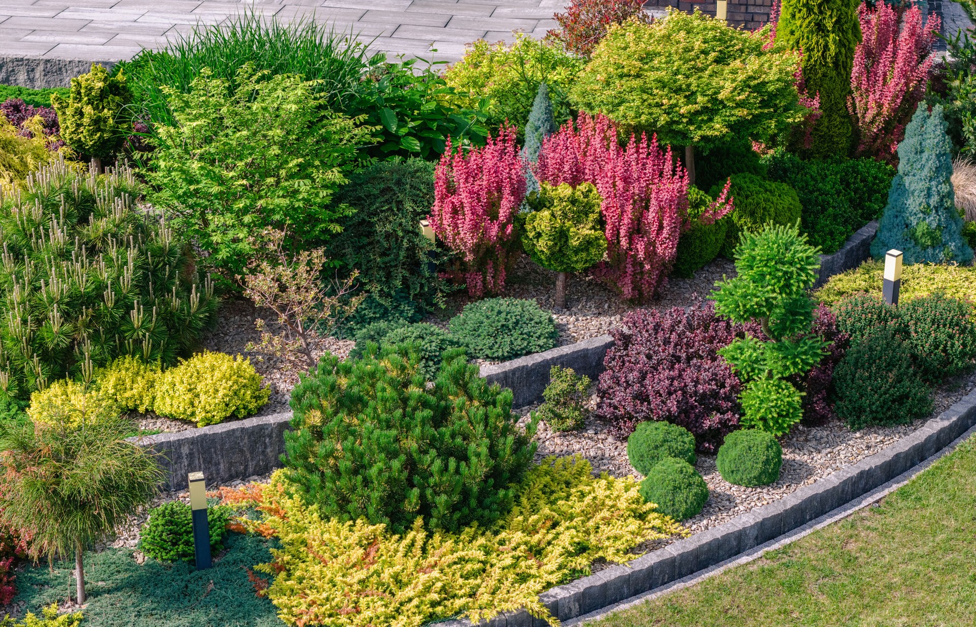Lebendige Gartenlandschaft mit vielfältigen Pflanzen in sonnigen Nachmittagsstunden