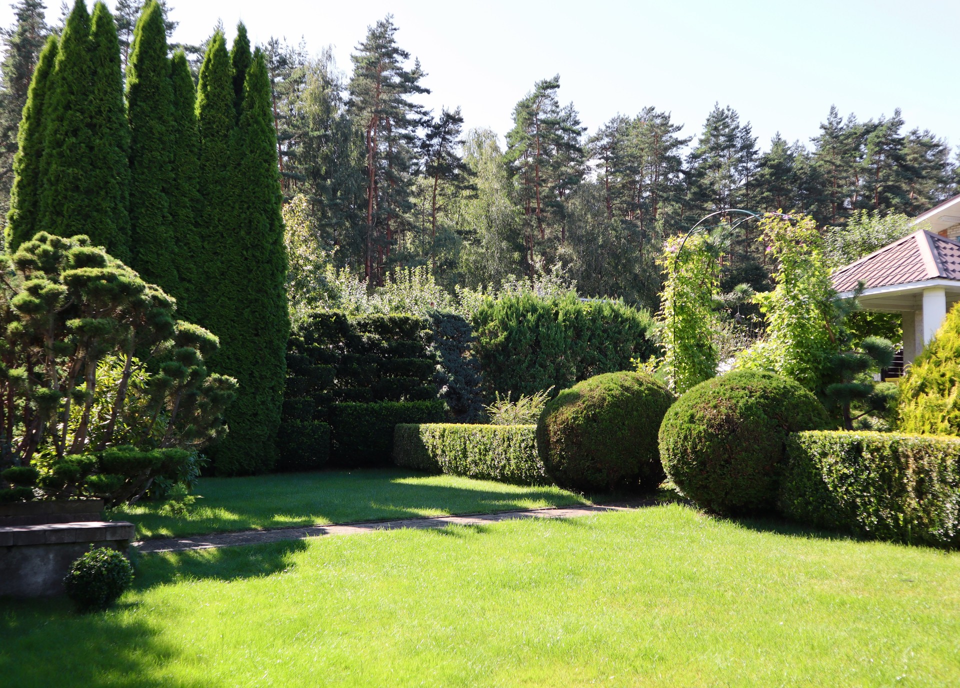 Formal summer garden design featuring manicured topiary hedges, green lawn, landscaping elements, and dense foliage