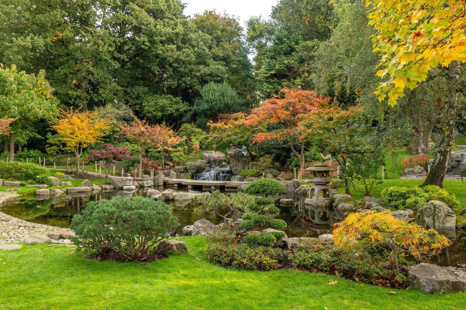 The Japanese garden (Kyoto Garden) in Holland Park, London, United Kingdom